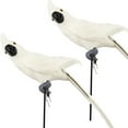 thumbnail image 2 of D-GROEE 1/2pcs 45cm Artificial Foam Feather Parrot Birds for Modern Home Garden Zoo Ornament Decoration Colorful, 2 of 7