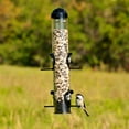 thumbnail image 5 of Perky-Pet 1 lb Squirrel Shield Tube Feeder, 5 of 6