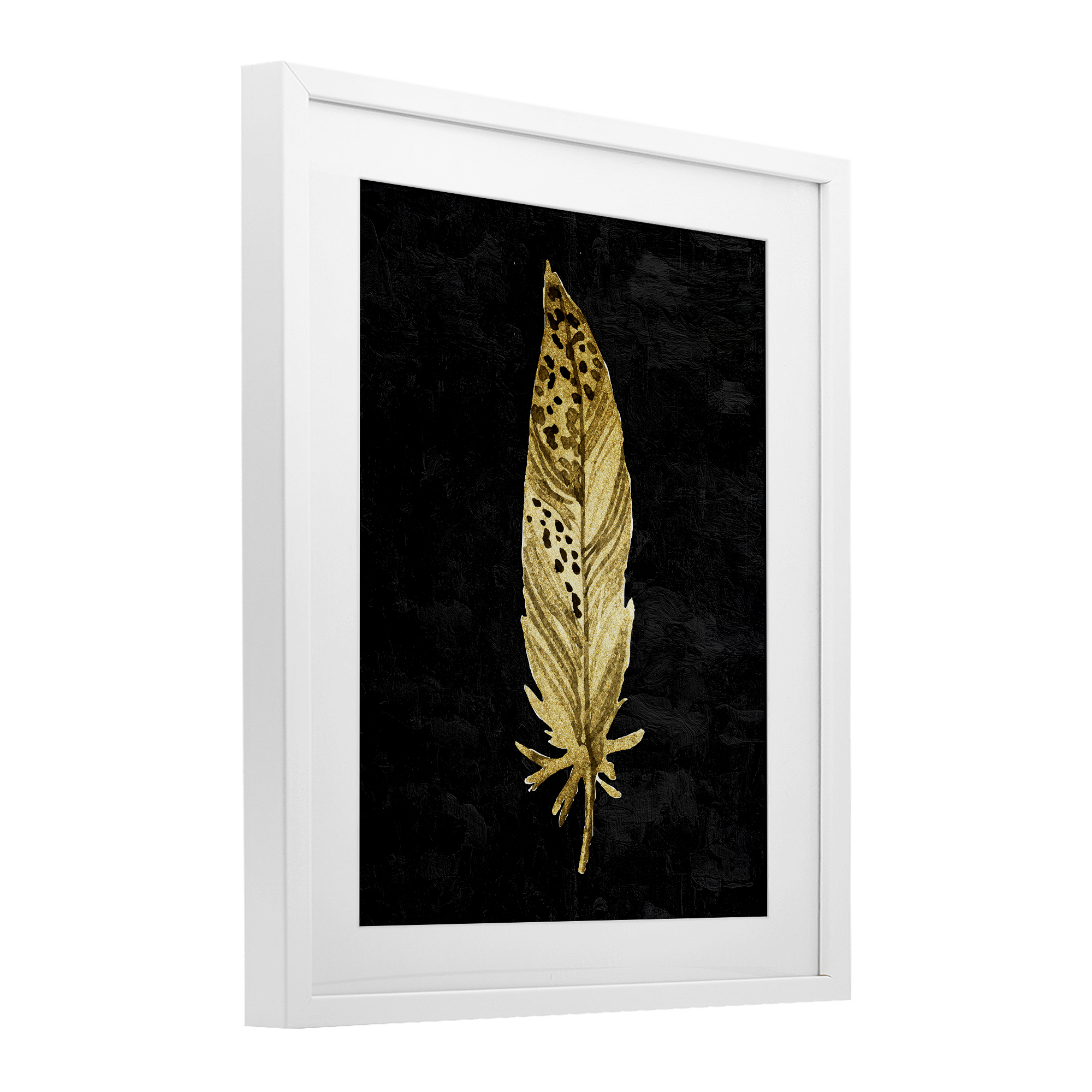 Speckled Feather on Black White Framed Print Under Glass, design by Kim Allen