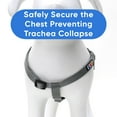 thumbnail image 6 of Pawtitas Dog Harness - Grey - (M) Medium Step in Dog Harness Training & Walking, 6 of 9