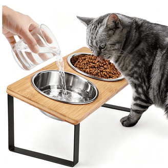 Double Cat Food and Water Bowl Set - Stainless Steel Bowls with  Easy-to-Clean Detachable Design, Non-Slip Base, Pet Feeder for Samll and  Medium Cats 4PCS - Walmart.com