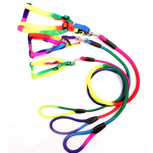 unbranded Correa Para Perro De Nylon Duradero Colorida Ajustable Para Mascotas Con Arnés Cómodo Y Atractivo