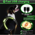 thumbnail image 5 of Vallaes LED Dog Harness Cat Harness Puppy Harness Breathable Chest Harness L, 5 of 5