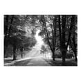 thumbnail image 3 of Tiptophomedecor Landscape Wallpaper Wall Mural - Path Of Memories, 3 of 4