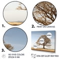 thumbnail image 3 of Designart "Earthy Oak Contours" Tree Oak Canvas Wall Art, 3 of 7