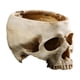 thumbnail image 2 of Resina Cráneo Bar Prop Flor Contenedor Jardín Bonsai Pot 2pcs, 2 of 9