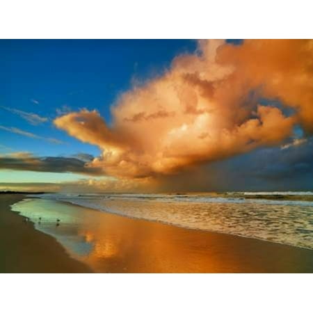 Sunset on the ocean New South Wales Australia Poster Print by  Frank