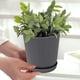 thumbnail image 1 of Macetas de Plástico Verde para Plantas, Huerto o Jardín de Verduras En Balcón. Maceta Verde con Base para Plantas Suculentas o Bonsáis. Almacenamiento para Plantas., 1 of 7