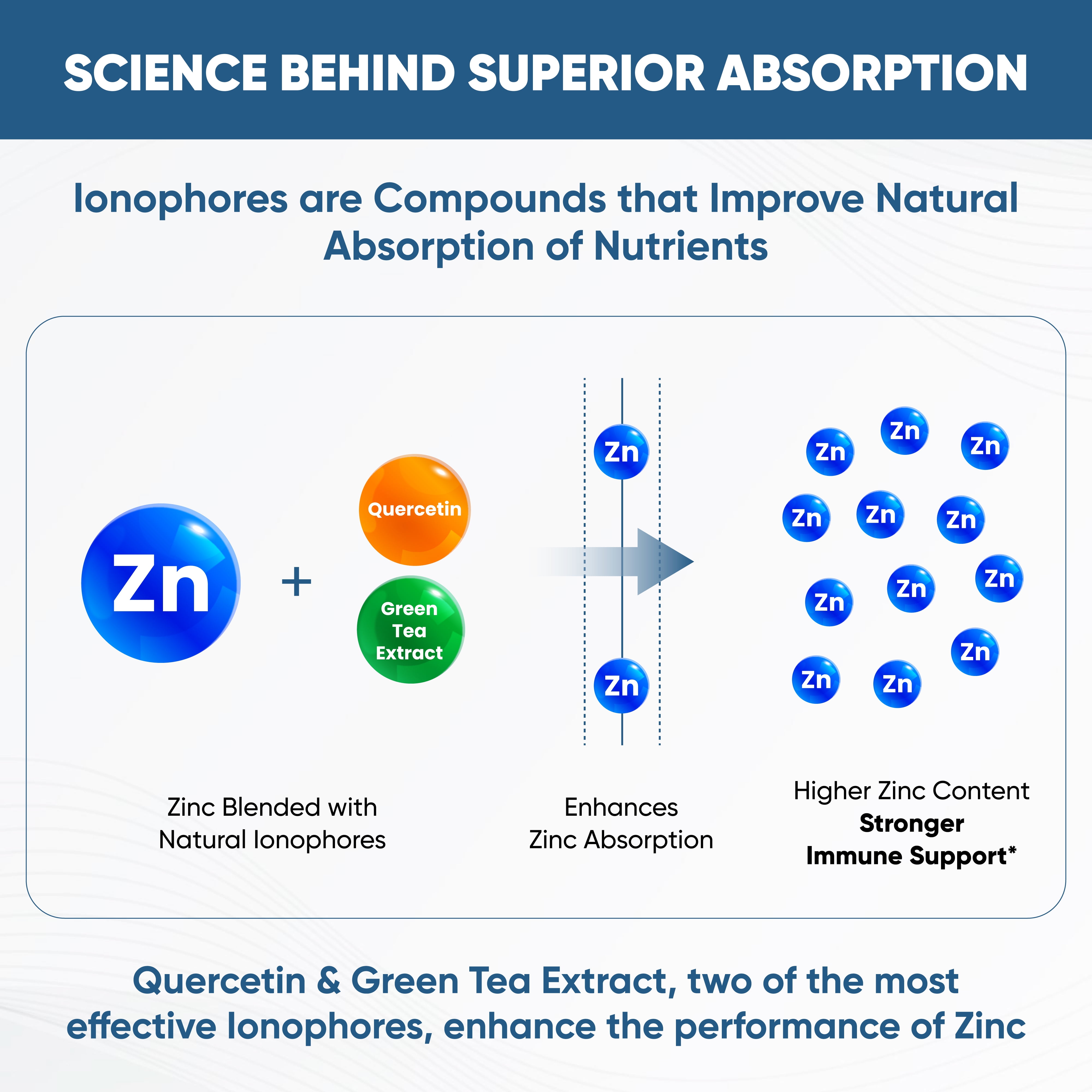 Sandhu's BioZnQ, 900mg of Quercetin & Green Tea Extract with 22mg of Zinc, Immune Support, 120 Ct