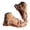 Beige, variant on Stylago Women's Flat Sandals Strappy Walking Beach Shoes Slip on Comfortable Summer Dresy Sandal for Ladies Vacation Beige Size 6
