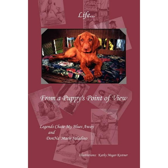 Life from a Puppy's Point of View, (Paperback)
