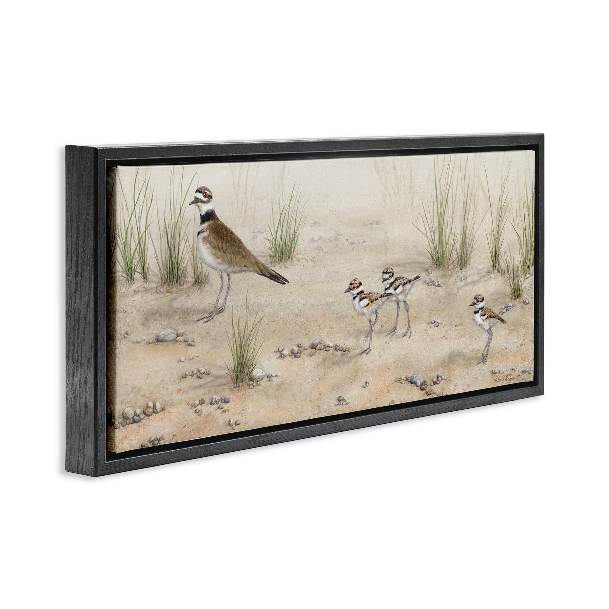 Stupell Industries Kildeer Birds Stepping Landscape & Nature Painting Black Floater Framed Canvas Art Print Wall Art, 31 x 14
