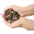 thumbnail image 4 of ⭐ PREMIUM Bonsai Soil All Purpose Fast Draining Mix - Pumice, Lava, Calcined Clay and Pine Bark Potting Pre Mixed Bonsai Plant Soil Mixture by ://N ★ LOVA - (1 Quart Bag), 4 of 6
