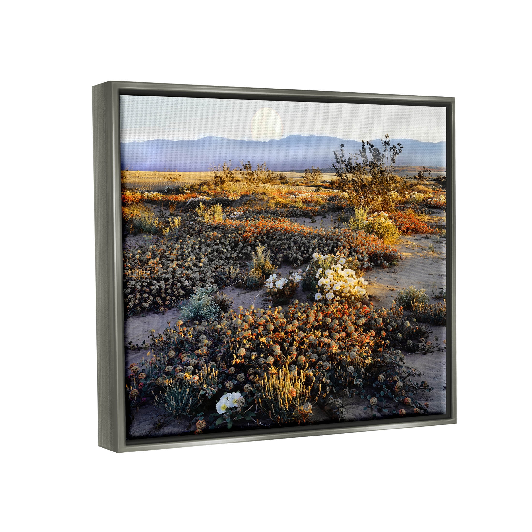 Mountain View Desert Vegetation Landscape Photograph Luster Gray Framed Art Print Wall Art