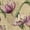 Color 1, variant on Peel and Stick Wallpaper Tulip Blossoms Varying Stages Soft Shading Wall Mural 17.7in x 9.8ft Self Adhesive Removable Renter Friendly Wall Paper Decor for Walls Cabinets Home