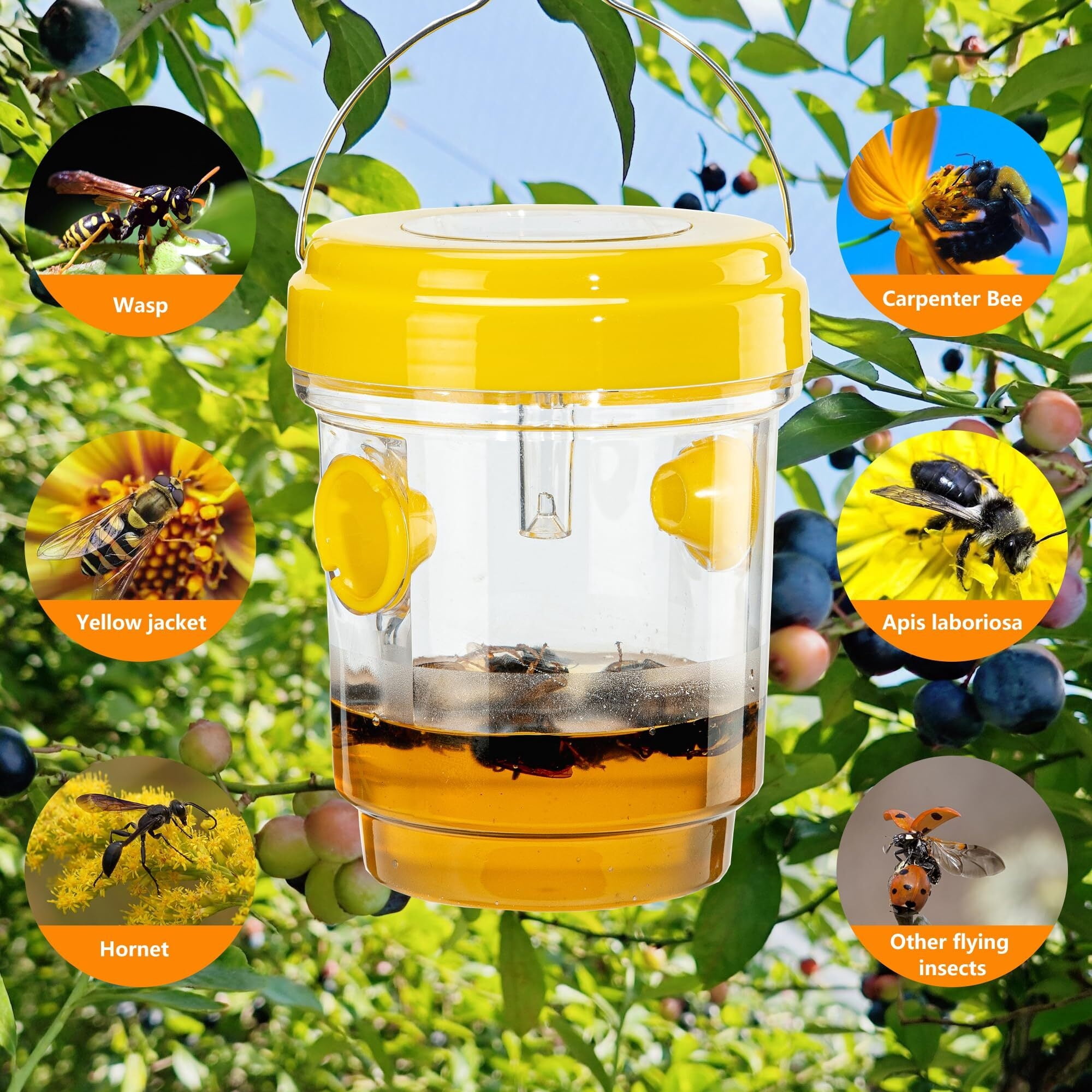 3 Pack Wasp Traps Outdoor Hanging, Solar Bee Trap for Outside, Hornet Traps, Bee Wasp Catcher Outside Garden