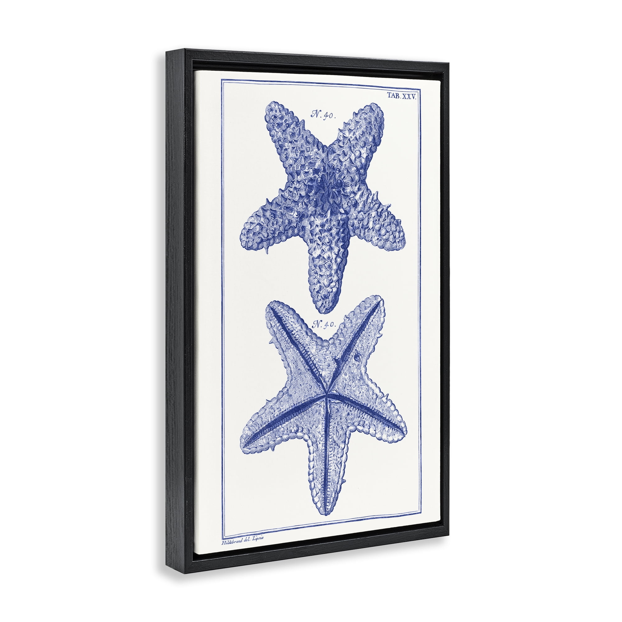 Stupell Industries Blue Starfish Studies Animals & Insects Painting Black Floater Framed Canvas Art Print Wall Art, 17 x 25