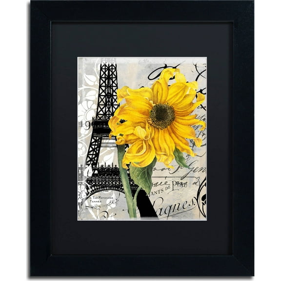 Trademark Fine Art "Paris Blanc" Canvas Art by Color Bakery, Black Matte, Black Frame