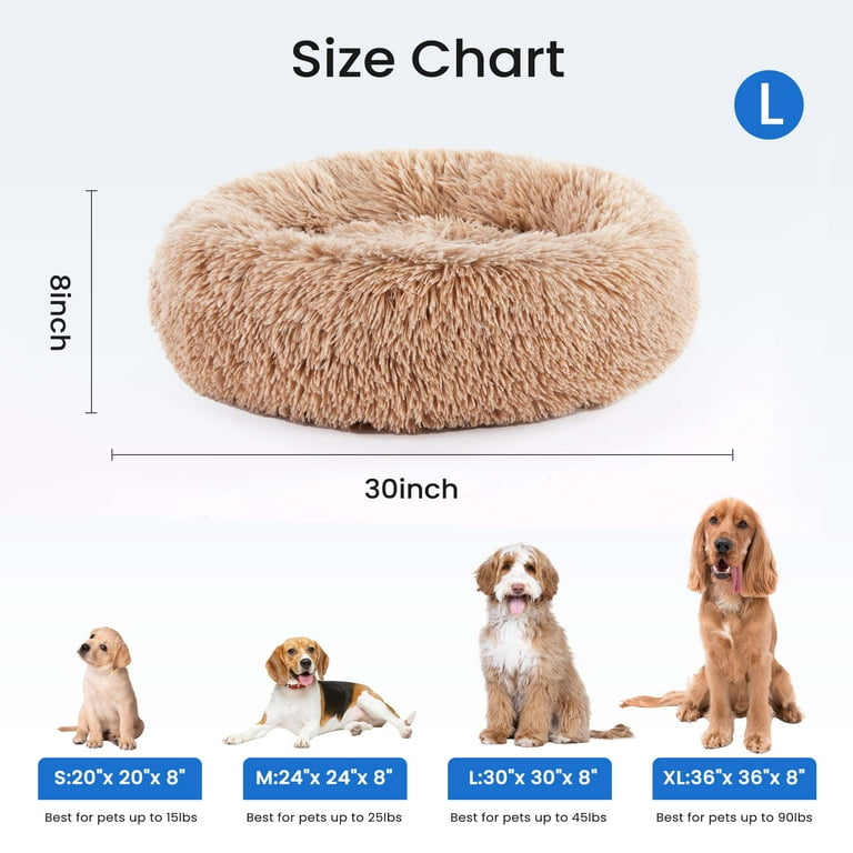 Best Round Dog Beds for Large Dogs: Ultimate Comfort Picks