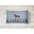 thumbnail image 2 of Carolines Treasures BB5505PW1216 Water Spaniel Welcome Canvas Fabric Decorative Pillow, 12H x16W, multicolor, 2 of 3