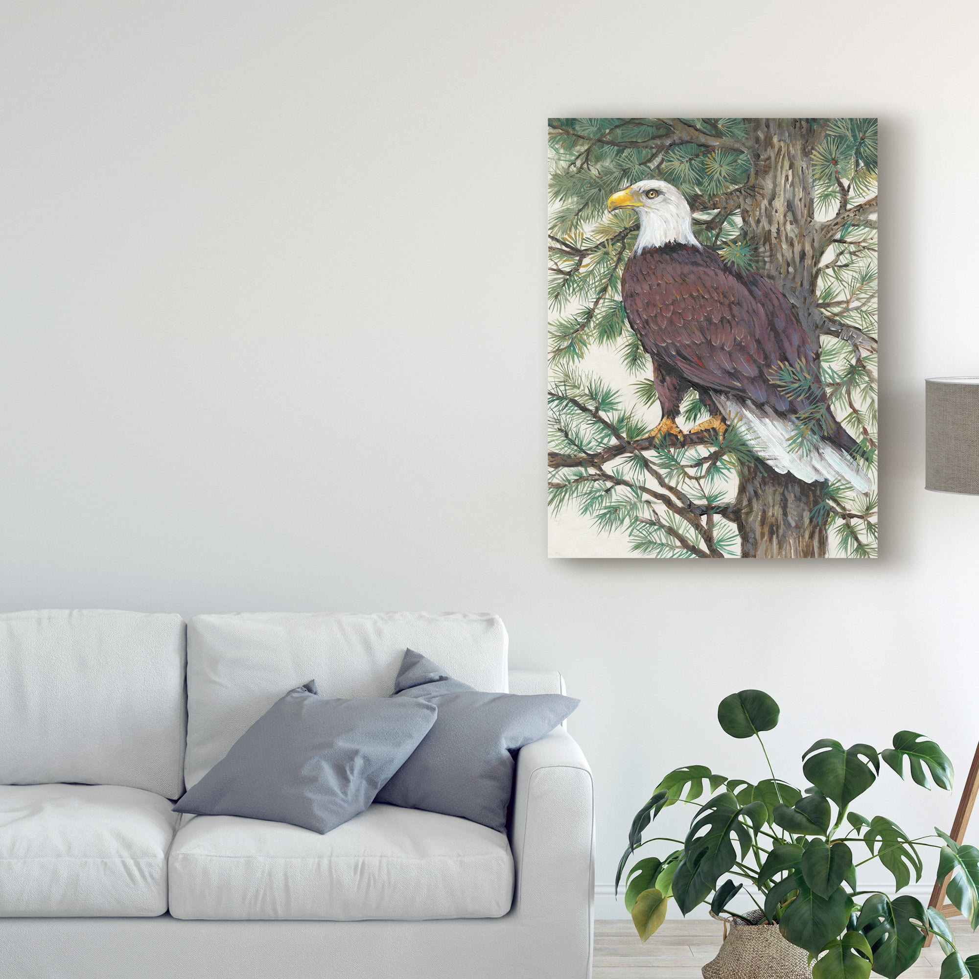 Trademark Fine Art 'Eagle in the Pine' Canvas Art by Tim OToole