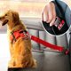 thumbnail image 2 of Typpkmm Adjustable Pet Dog Car Seat Belt Pet Seat Vehicle Dog Harness Lead Clip Safety Lever Traction Dog Collars, 2 of 7