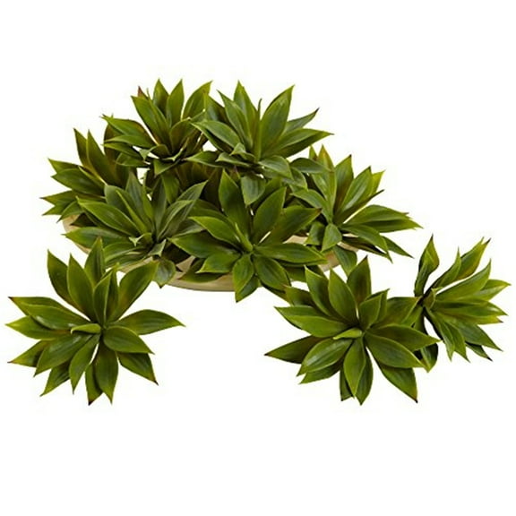 Nearly Natural Mini Agave Succulent Plant (Set of 12), Green