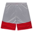 thumbnail image 3 of Men's Fanatics Scarlet San Francisco 49ers Big & Tall Team Logo Shorts, 3 of 3