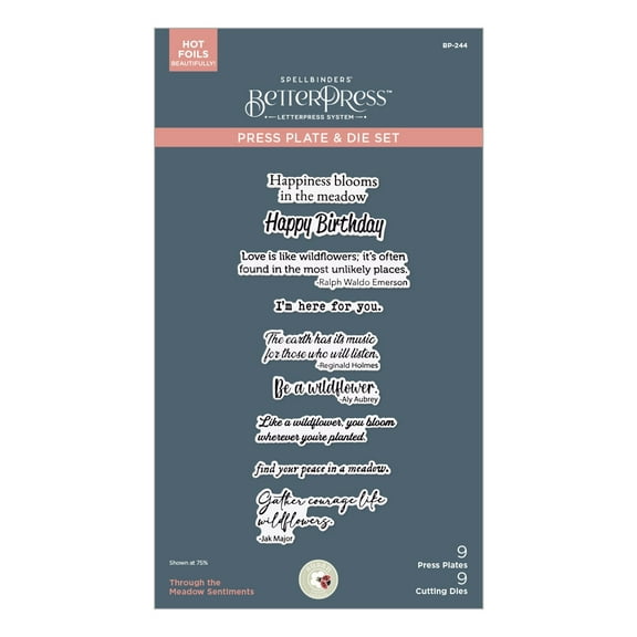 Spellbinders BetterPress Plate & Die by Susan Tierney-Through the Meadow Sentiments