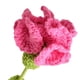 thumbnail image 2 of Clavel Ganchillo Punto Terminado para Cumpleaños Boda (rosa) Rojo, 2 of 8