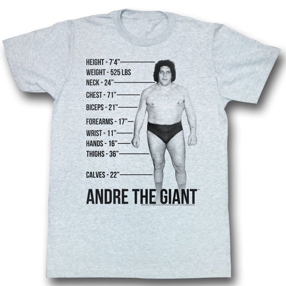 Andre The Giant Giant Specs Gray Heather Adult T-Shirt 5Xl