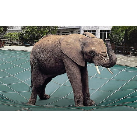 Rectangular Safety Pool Cover - Loop-Loc Green Ultra-Loc II Solid Safety Cover with Drain Panels for 14-Foot-by-28-Foot Rectangular In-Ground Swimming Pool