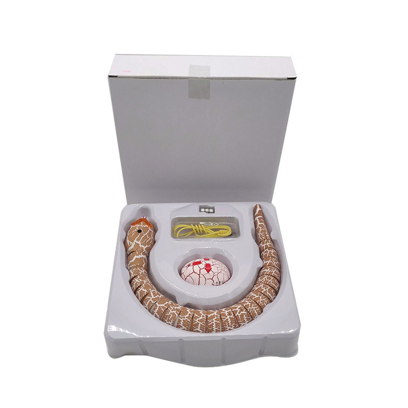 RATTLESNAKE BOX THE MODS Tracks in Anti… RATTLESNAKE BOX -THE MODS Tracks in Antinos Years- ｜ THE