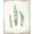 thumbnail image 2 of Allen, Kimberly 26x32 Gold Ornate Wood Framed with Double Matting Museum Art Print Titled - Watercolor Fern 3 Vintage, 2 of 4