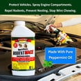thumbnail image 5 of Nature's MACE Peppermint Rodent Mouse Repellent 1 Gallon Ready-to-Use Spray, Treats Up To 5,600 Sq.ft, 5 of 7