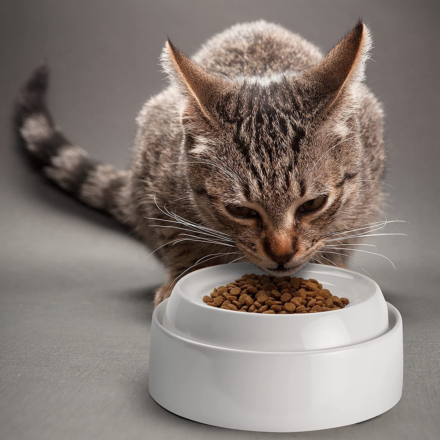 CatGuru Cat Bowls, Whisker Stress Free Cat Food Bowl, Reliefs Whisker Fatigue, Wide Cat Bowl, Non Slip Cat Food Bowls, Shallow Cat Dish, Cat Feeding & Watering Supplies (Ceramic, White)