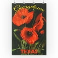 thumbnail image 2 of Georgetown, Texas, Corn Poppy Flowers (36x54 Giclee Gallery Art Print, Vivid Textured Wall Decor), 2 of 3