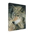 thumbnail image 2 of Trademark Fine Art 'Curious Eyes' Canvas Art by Carla Kurt, 2 of 3