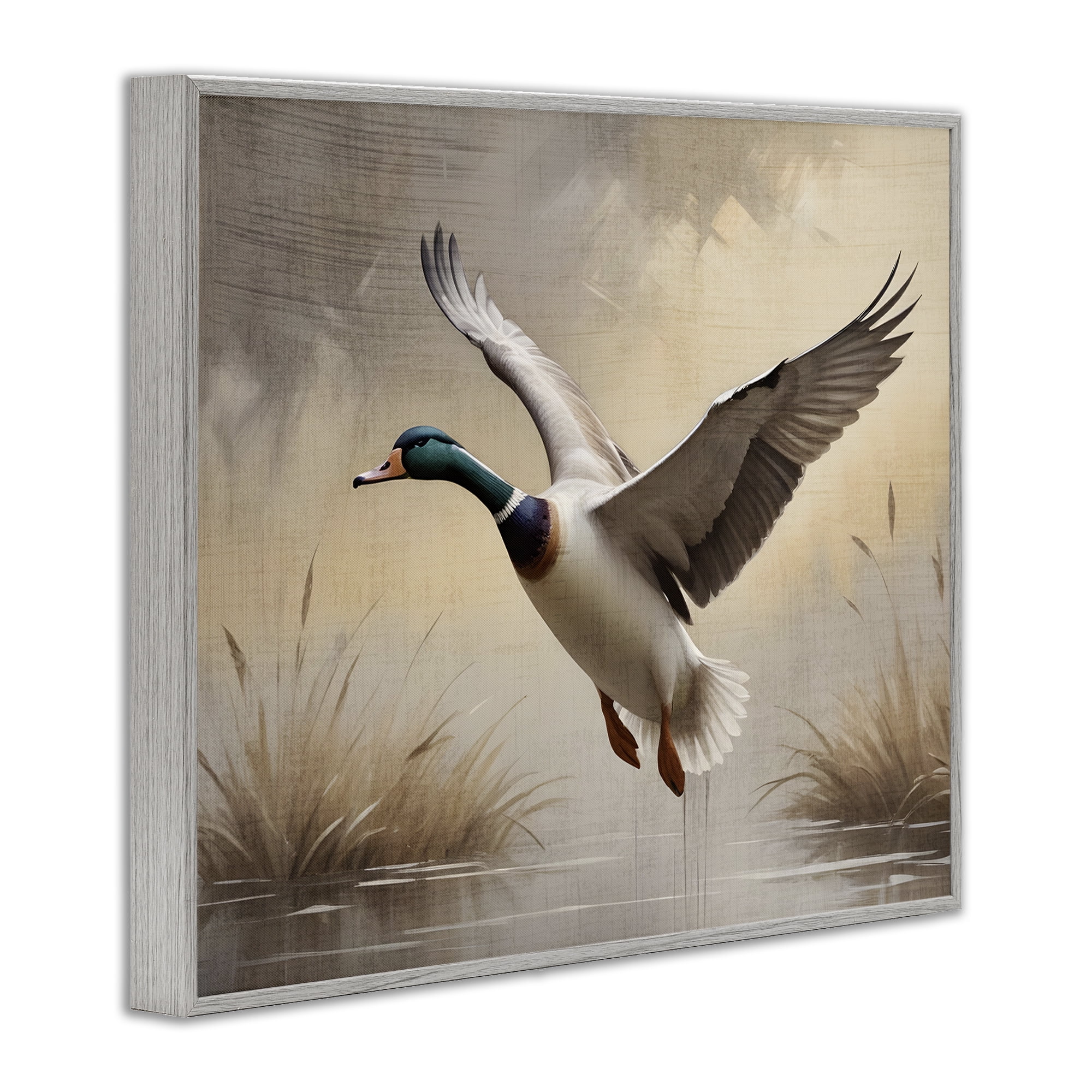 Stupell Industries Gliding Mallard over Wetlands Gray Framed Giclee Art, design by Susan Arnot