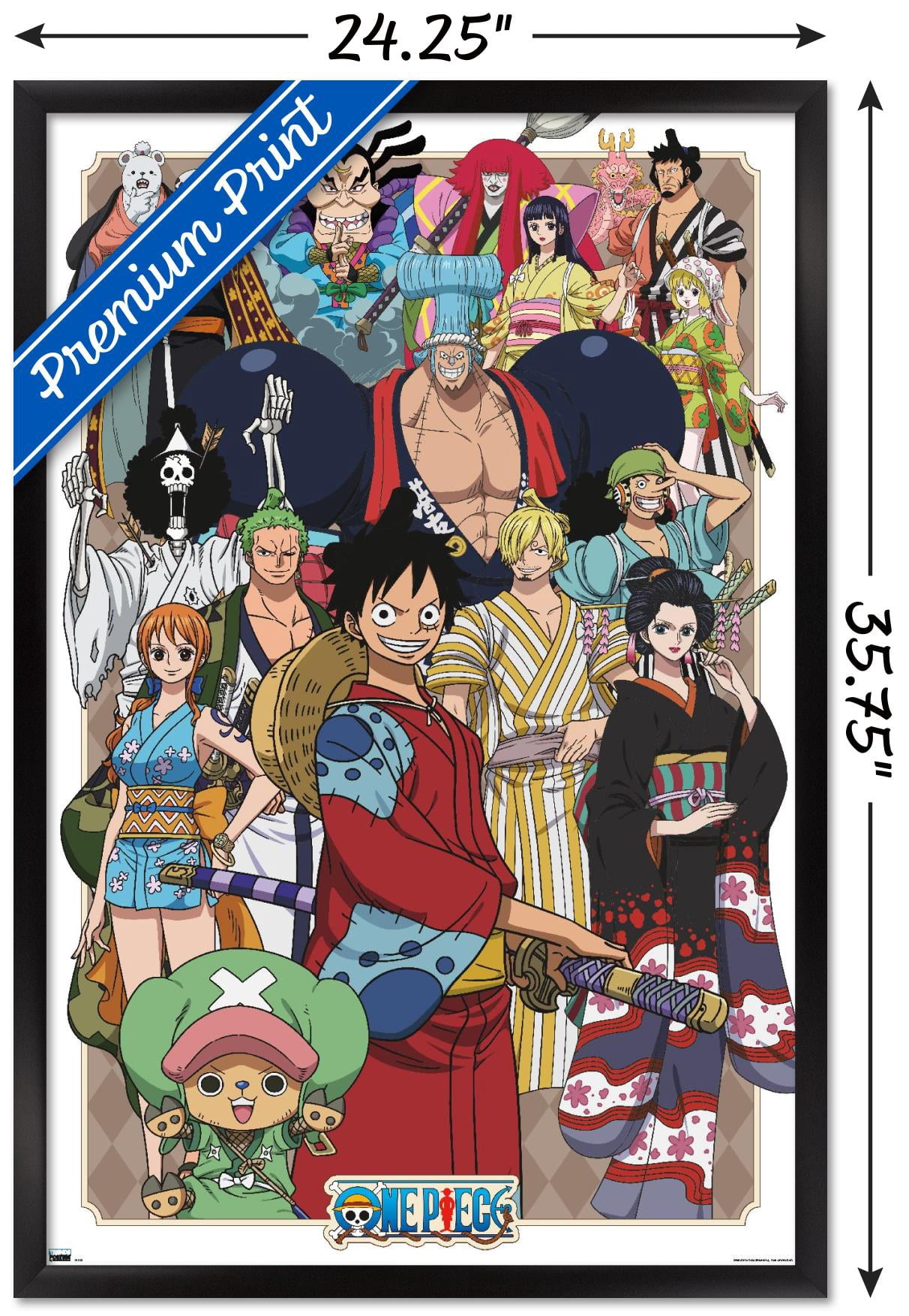 One Piece - Alliance Wall Poster, 22.375