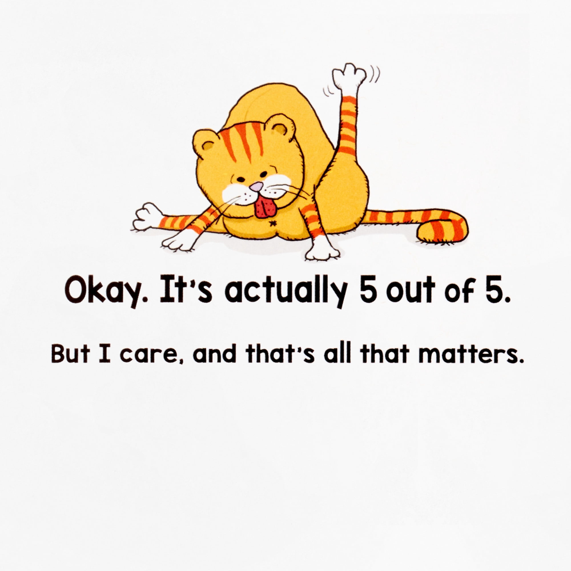 Hallmark Shoebox Funny Birthday Card (Cats Don't Care But I Do)