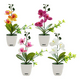 thumbnail image 1 of 4 pzs Arreglo Orquídeas Artificiales Decoración Con Macetas Lab.G, Multicolor, 1 of 5