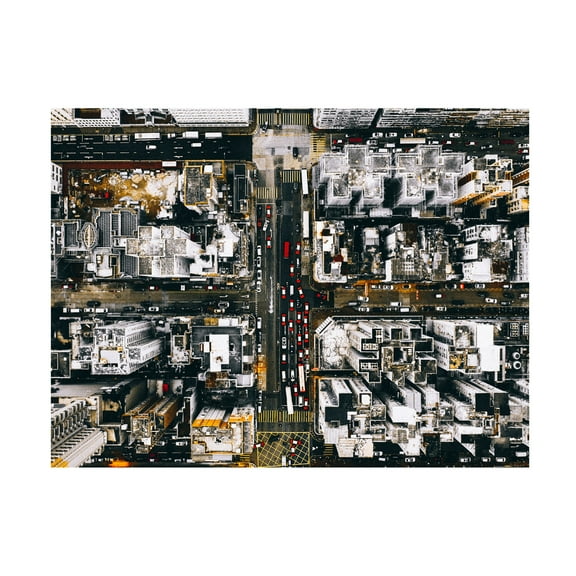 Canvas Wall Art - Carmine Chiriaco 'Over The Top' Wall Art for Living Room, Bedroom, or Office D?cor by Trademark Fine Art - 19 x 14 Inches