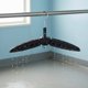 thumbnail image 2 of predolo Soporte para Chaleco de Buceo Secado Rápido Percha para Traje de Neopreno Diseño Ventilado Accesorio Deportivo para Buceadores, Surfistas, Viaje, 2 of 6