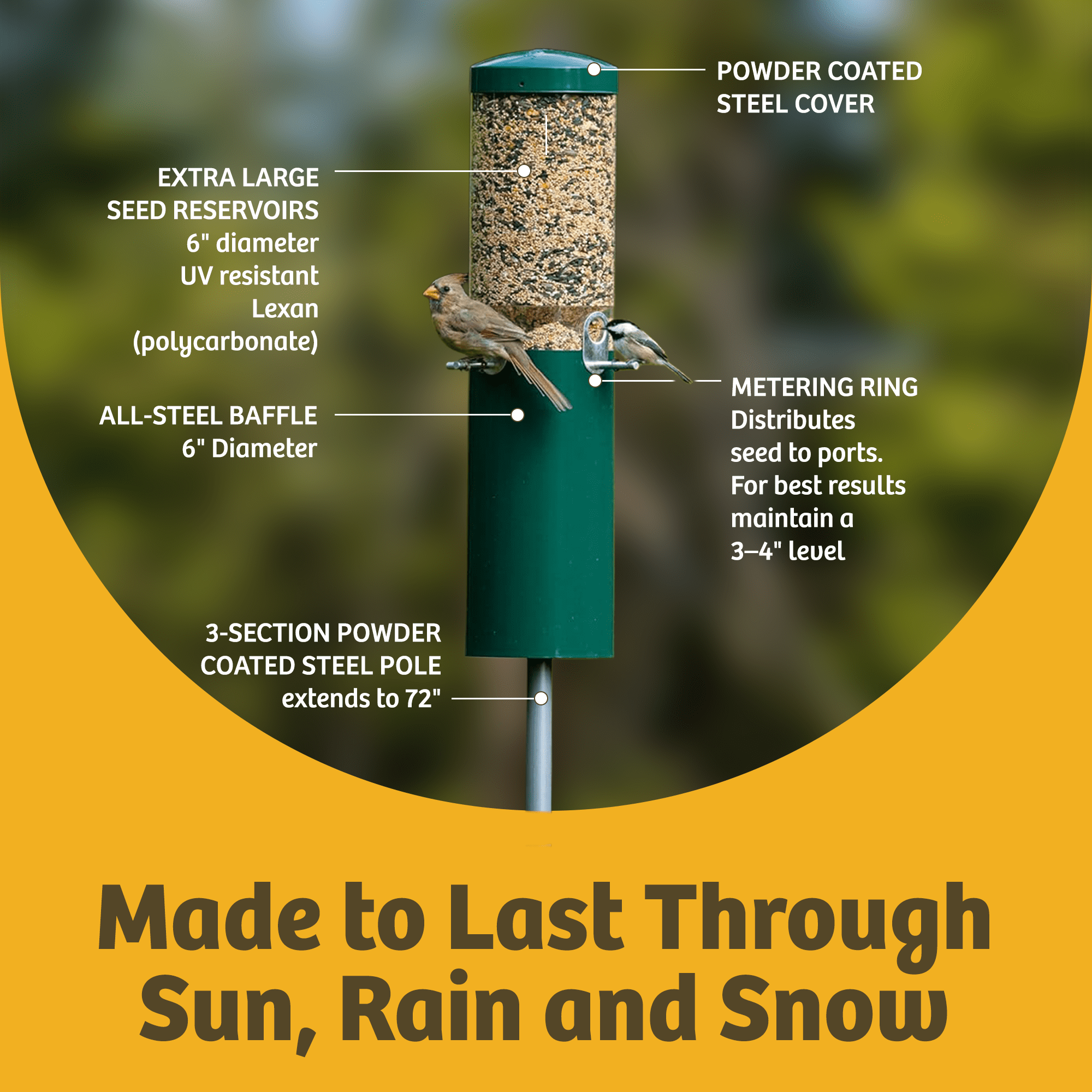 Birds Choice Squirrel Proof Bird Feeder with Pole and Squirrel Baffle, Green