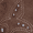 Sand, variant on Women's Studded Cowboy Boots