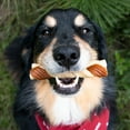 thumbnail image 3 of Cadet Chewalicious Dog Treats Chewy 'N Crunchy Braids, Rawhide Free Dog Chews, Chicken Flavor, 3 Count, 3 of 12