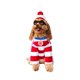 thumbnail image 1 of ¿Dónde Está Waldo? Disfraz De Mascota Waldo Para Perros O Gatos De Rubies Large, 1 of 1