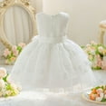 thumbnail image 6 of Girls Dresses Girls Princess Dress Girls' Dress For Children Off The Shoulder Party Gown Dress With Rose Embroidery Skirt For Ages 3 10, 6 of 10