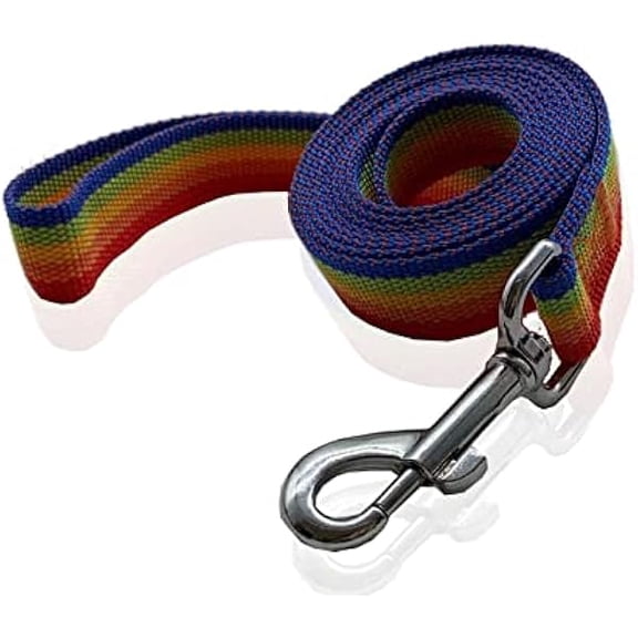 Eryueer Nylon Dog Leash 12 Feet Long, Walking Training Dog Leashes for Medium Large Dogs(1" X 12 ft, Rainbow)